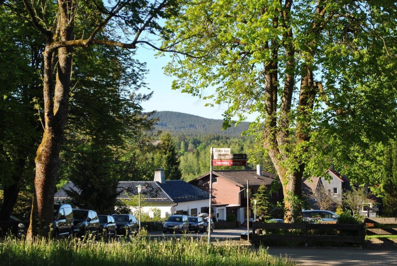 Harz-Rose Apartment Braunlage Exterior photo