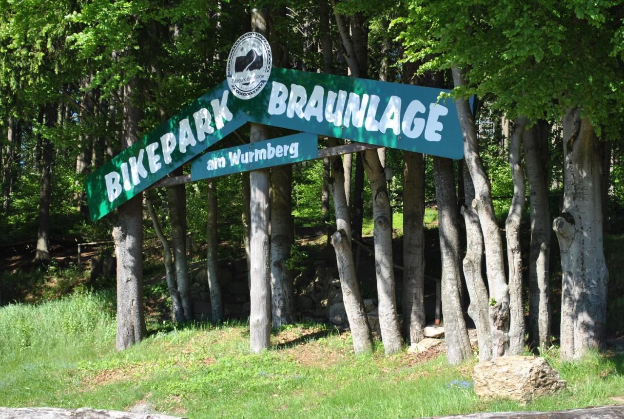 Harz-Rose Apartment Braunlage Exterior photo