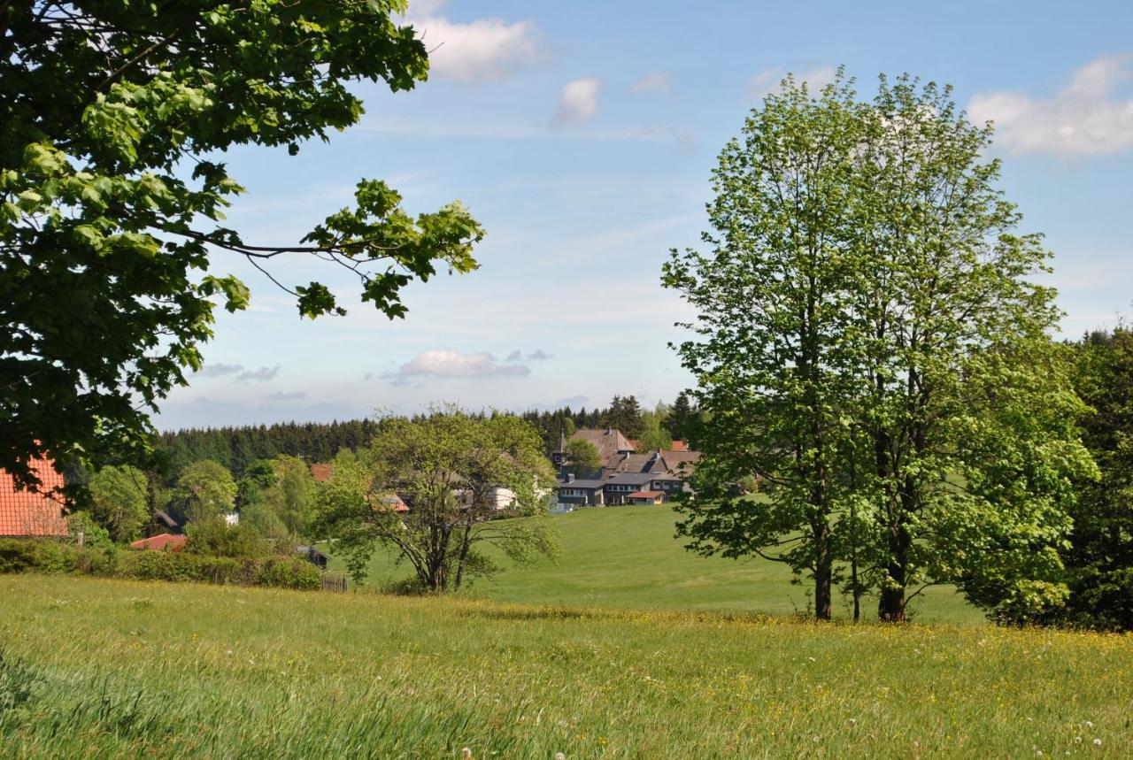 Harz-Rose Apartment Braunlage Exterior photo