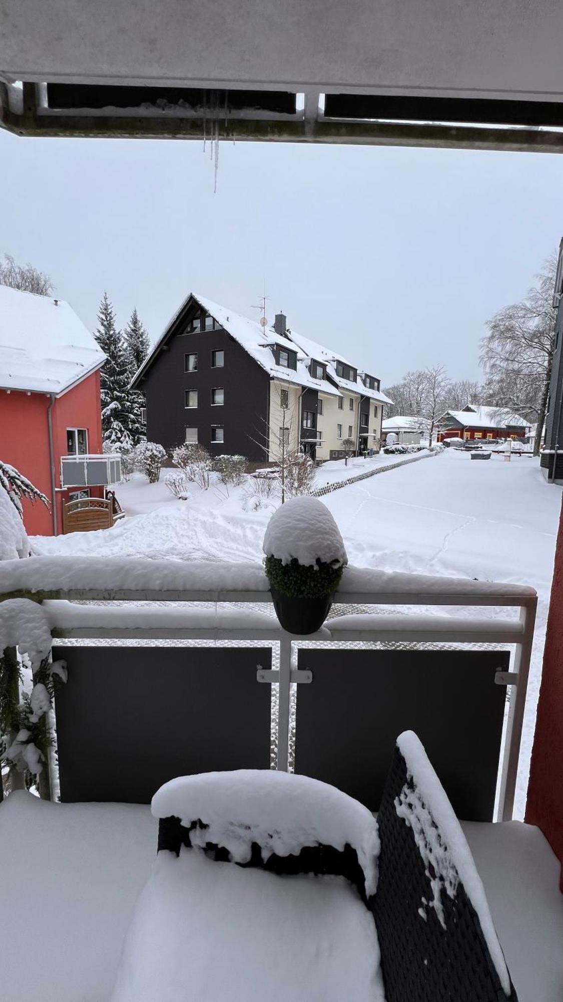 Harz-Rose Apartment Braunlage Exterior photo
